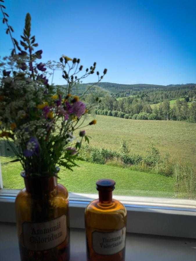 Stilleben Hotell Åmot 外观 照片